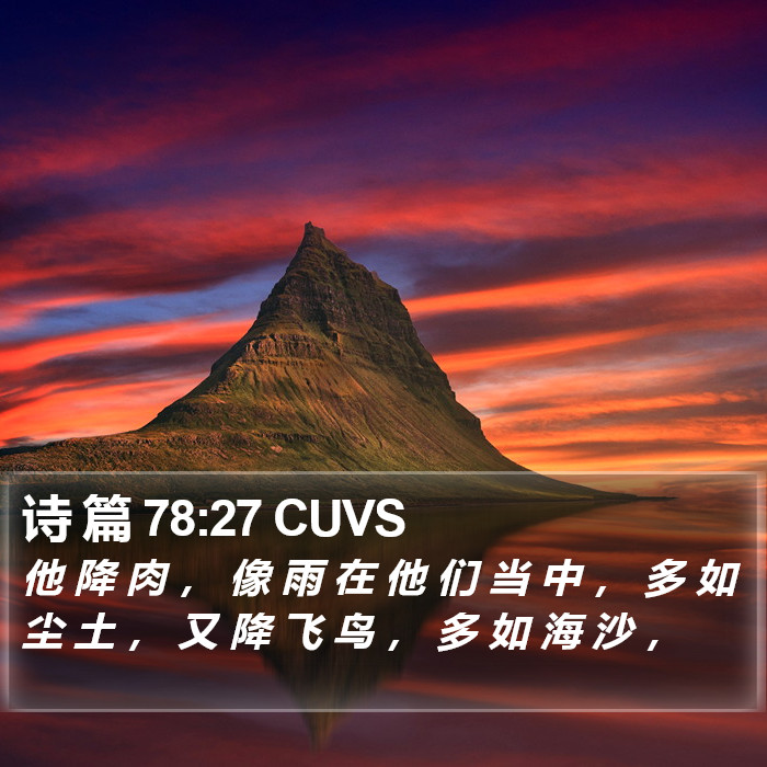 诗 篇 78:27 CUVS Bible Study