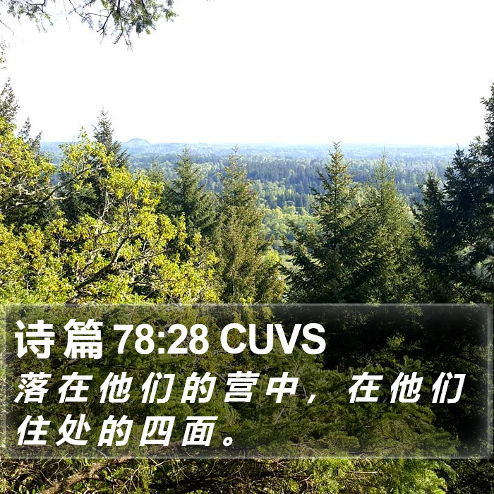 诗 篇 78:28 CUVS Bible Study
