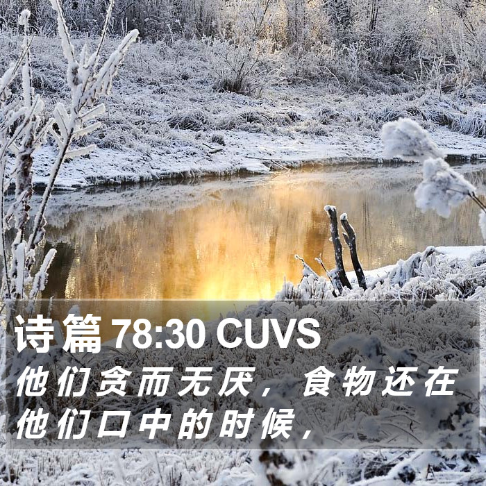 诗 篇 78:30 CUVS Bible Study