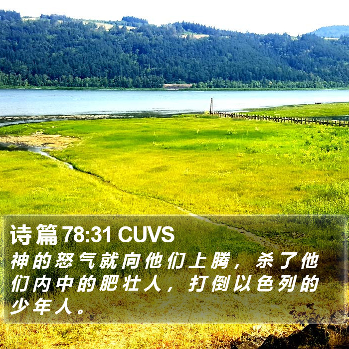 诗 篇 78:31 CUVS Bible Study