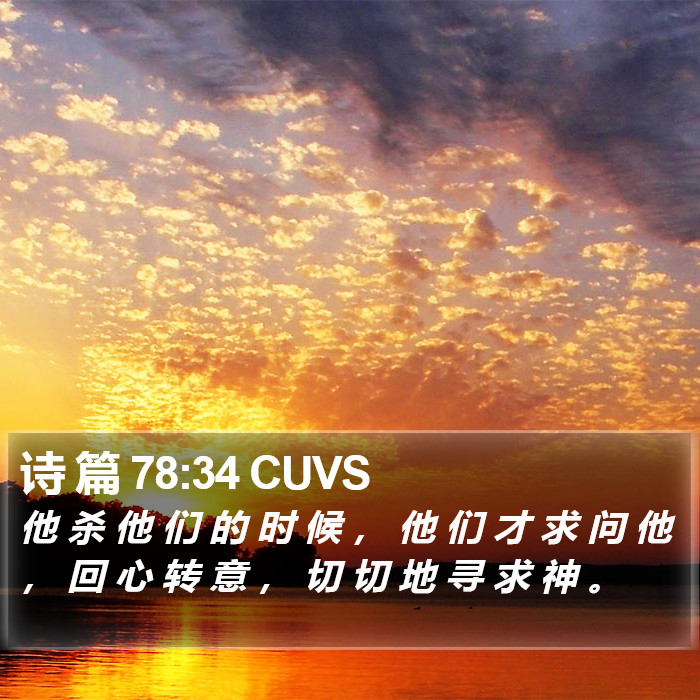 诗 篇 78:34 CUVS Bible Study