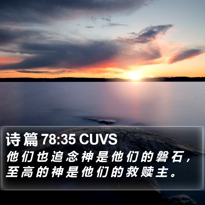 诗 篇 78:35 CUVS Bible Study