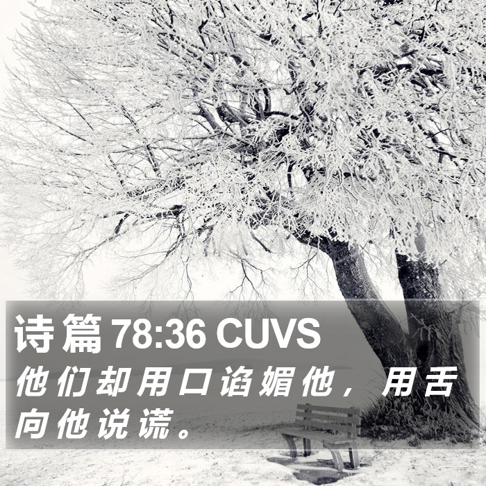 诗 篇 78:36 CUVS Bible Study