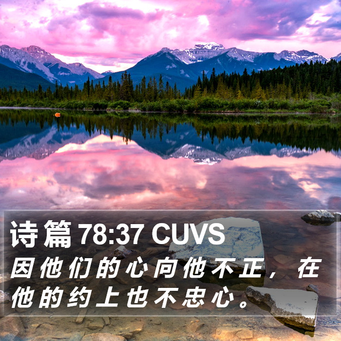 诗 篇 78:37 CUVS Bible Study