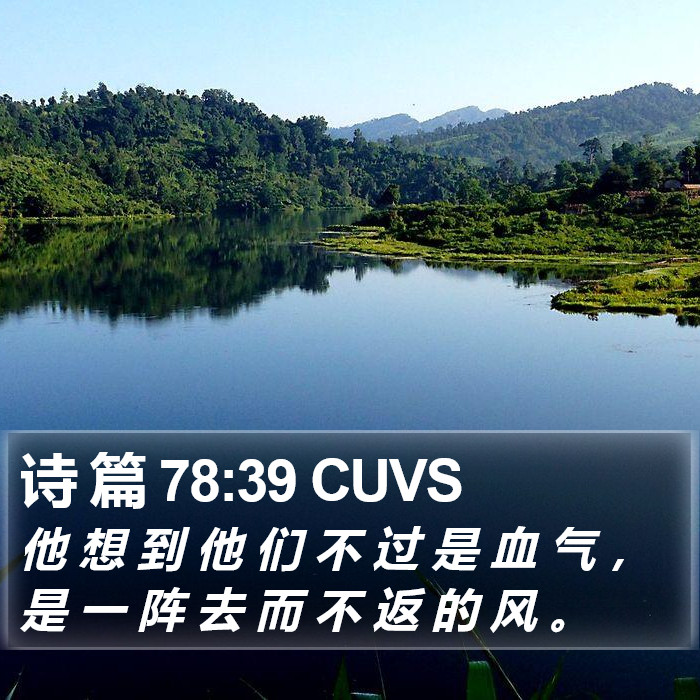 诗 篇 78:39 CUVS Bible Study