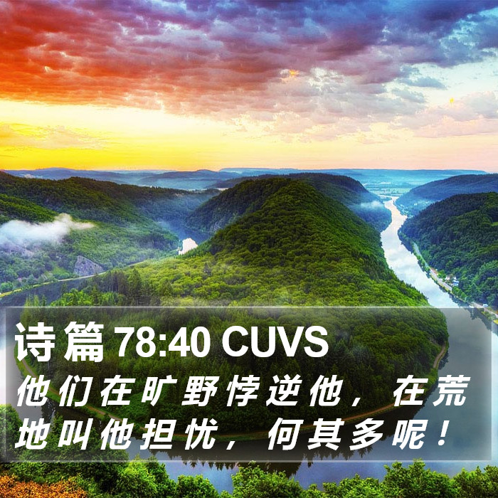 诗 篇 78:40 CUVS Bible Study