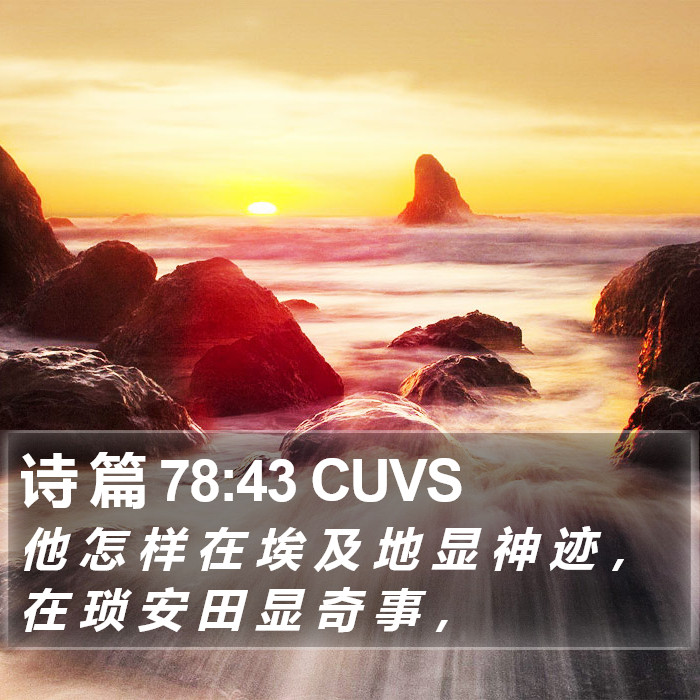 诗 篇 78:43 CUVS Bible Study