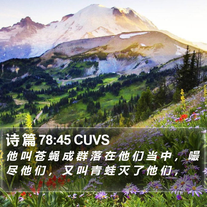 诗 篇 78:45 CUVS Bible Study