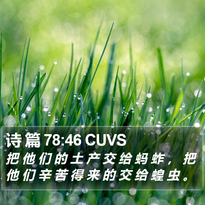 诗 篇 78:46 CUVS Bible Study