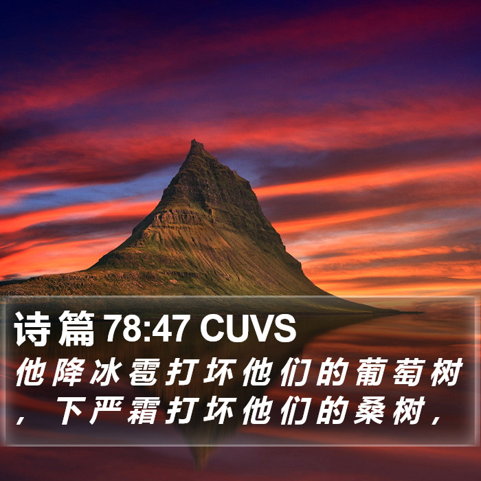 诗 篇 78:47 CUVS Bible Study