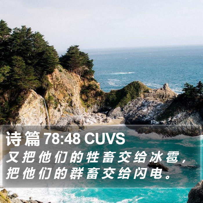 诗 篇 78:48 CUVS Bible Study