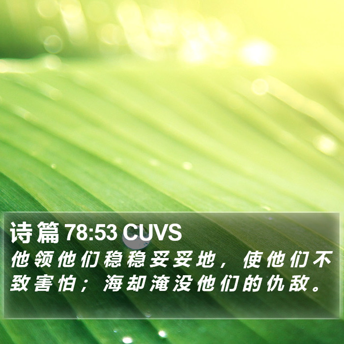 诗 篇 78:53 CUVS Bible Study