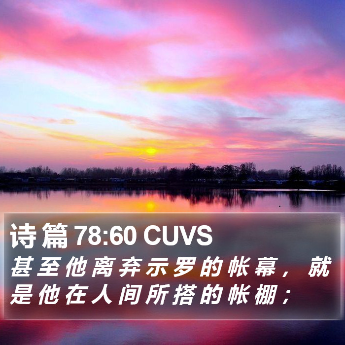 诗 篇 78:60 CUVS Bible Study