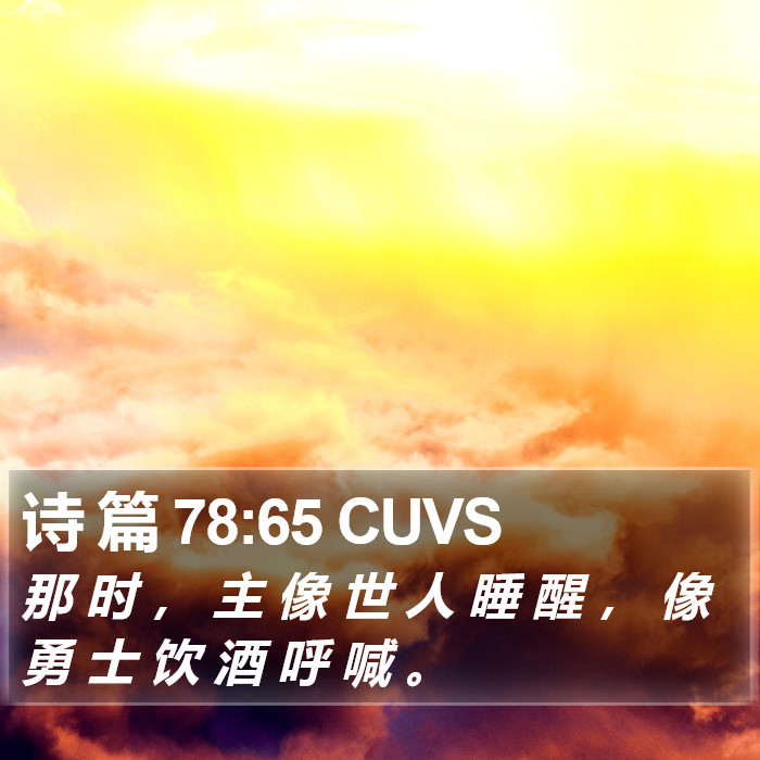 诗 篇 78:65 CUVS Bible Study