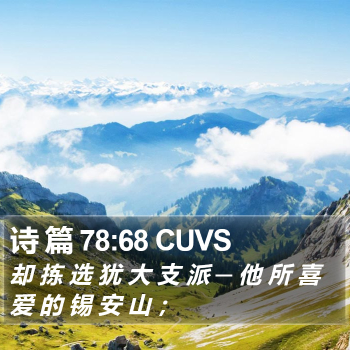 诗 篇 78:68 CUVS Bible Study