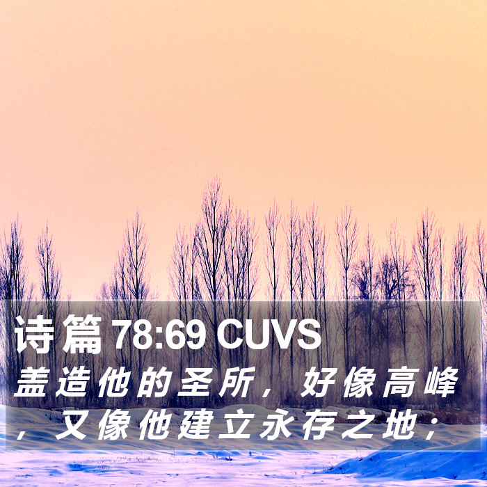 诗 篇 78:69 CUVS Bible Study