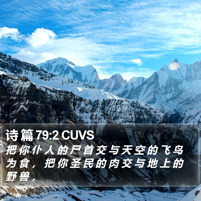 诗 篇 79:2 CUVS Bible Study