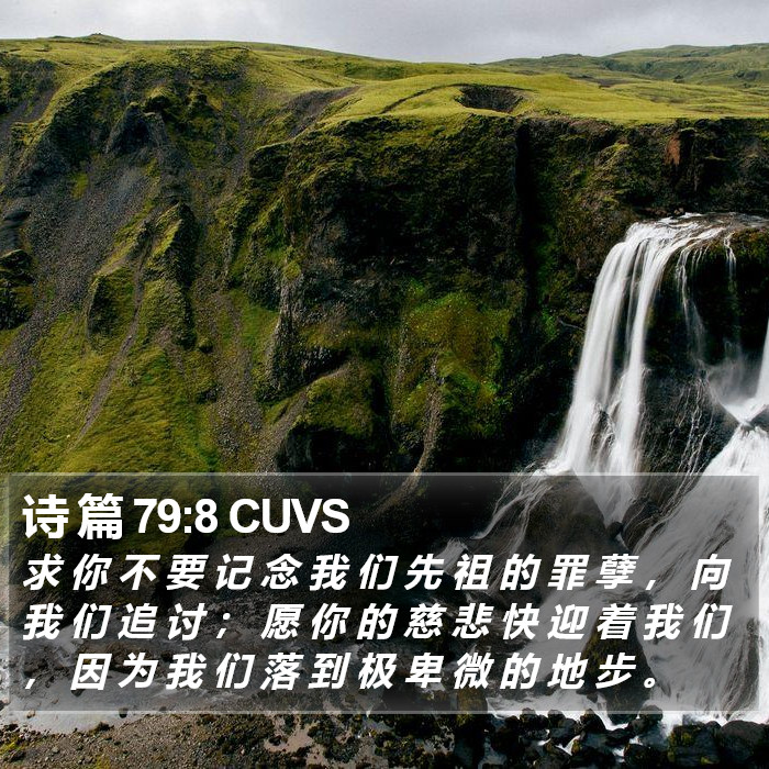 诗 篇 79:8 CUVS Bible Study