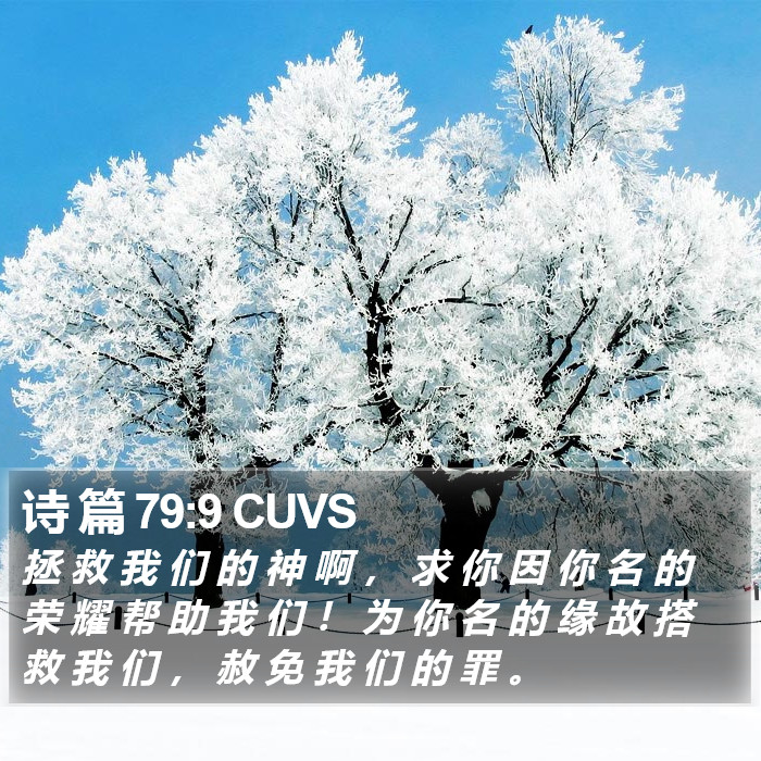 诗 篇 79:9 CUVS Bible Study