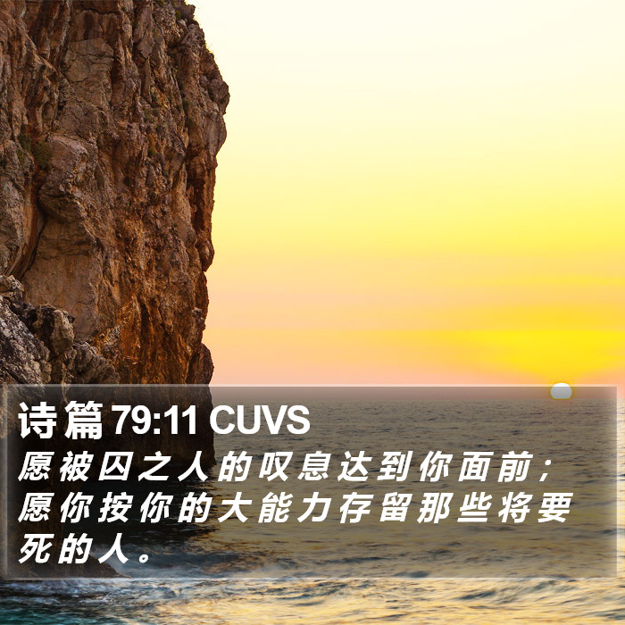 诗 篇 79:11 CUVS Bible Study