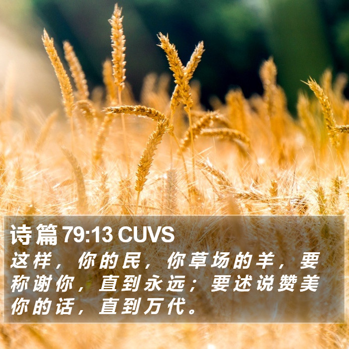 诗 篇 79:13 CUVS Bible Study