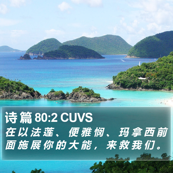 诗 篇 80:2 CUVS Bible Study