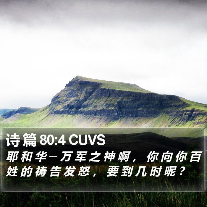 诗 篇 80:4 CUVS Bible Study