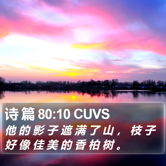 诗 篇 80:10 CUVS Bible Study