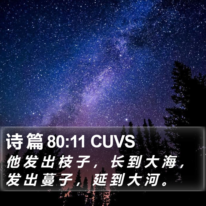诗 篇 80:11 CUVS Bible Study