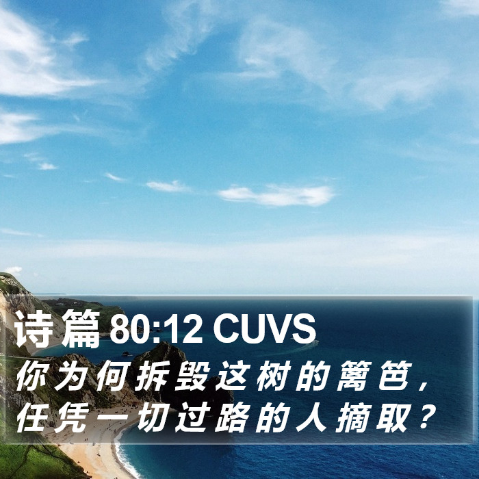诗 篇 80:12 CUVS Bible Study
