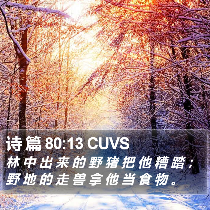 诗 篇 80:13 CUVS Bible Study