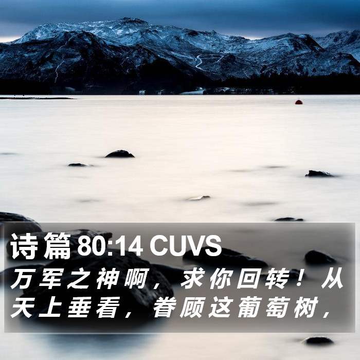 诗 篇 80:14 CUVS Bible Study