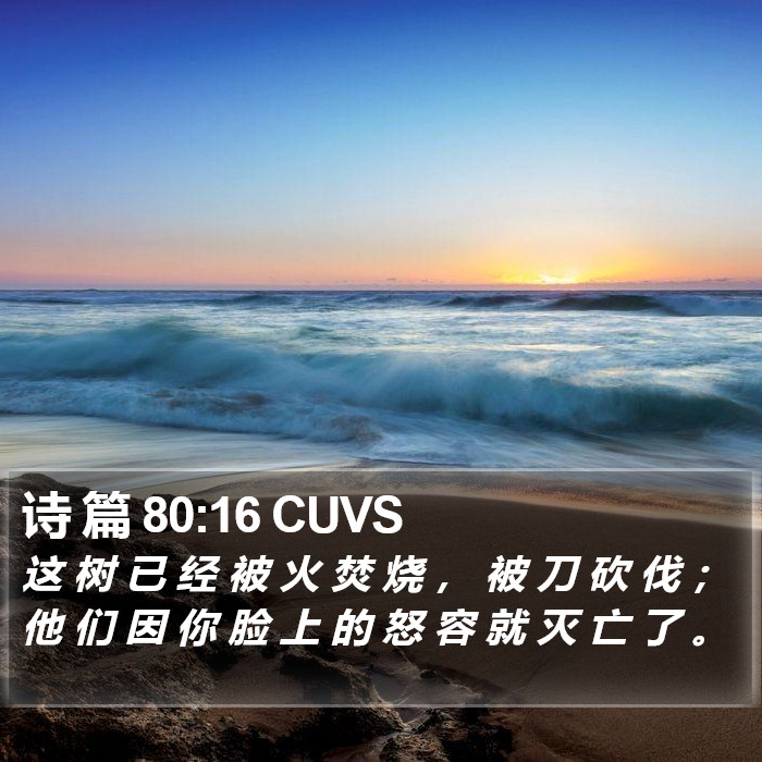 诗 篇 80:16 CUVS Bible Study