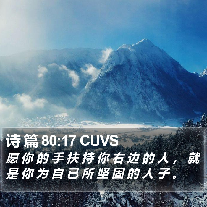 诗 篇 80:17 CUVS Bible Study