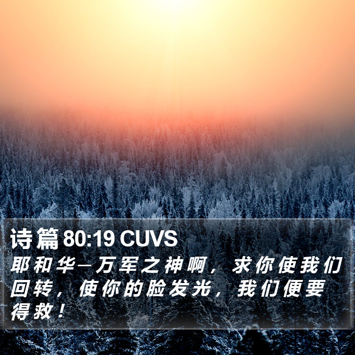 诗 篇 80:19 CUVS Bible Study