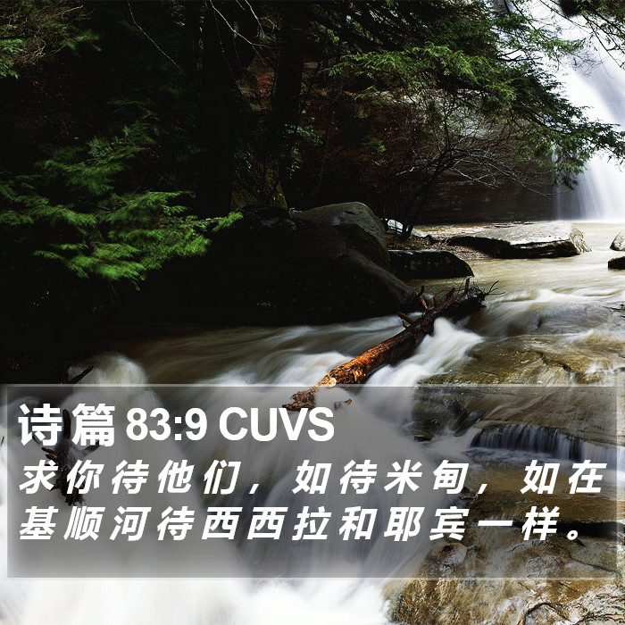 诗 篇 83:9 CUVS Bible Study