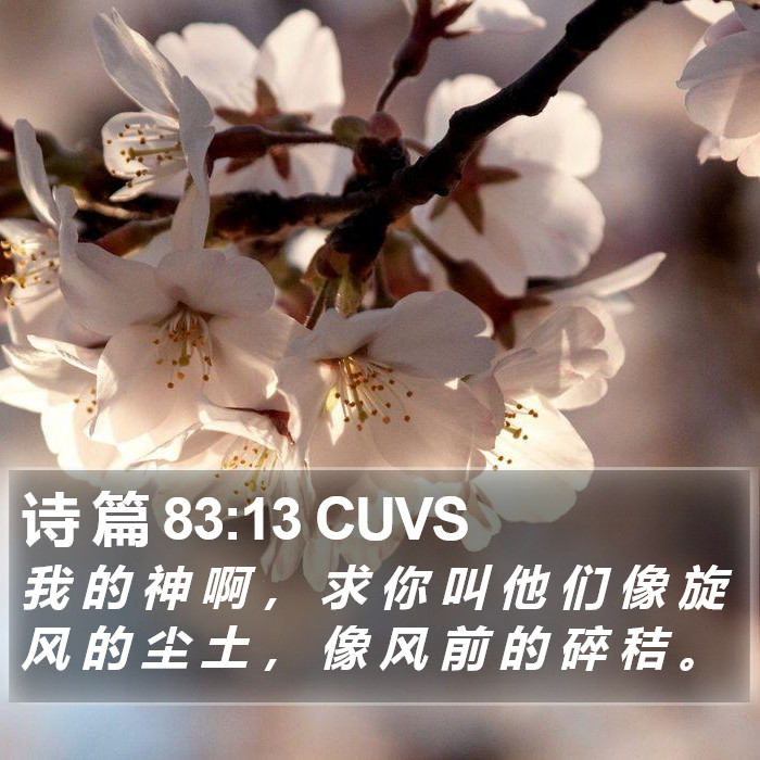 诗 篇 83:13 CUVS Bible Study