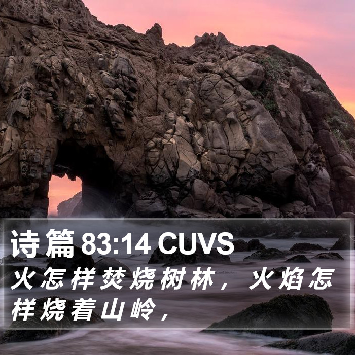 诗 篇 83:14 CUVS Bible Study