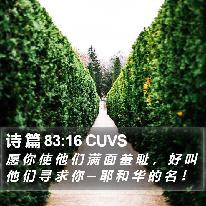 诗 篇 83:16 CUVS Bible Study