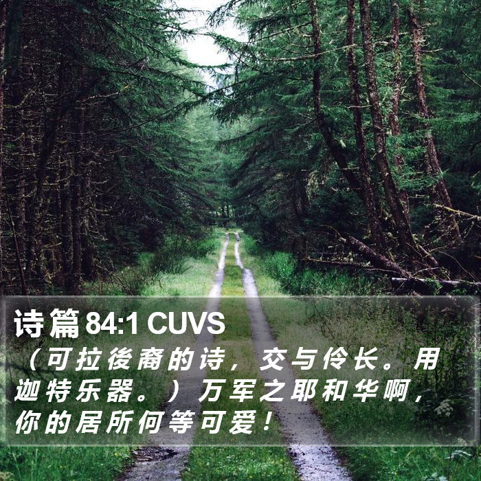 诗 篇 84:1 CUVS Bible Study