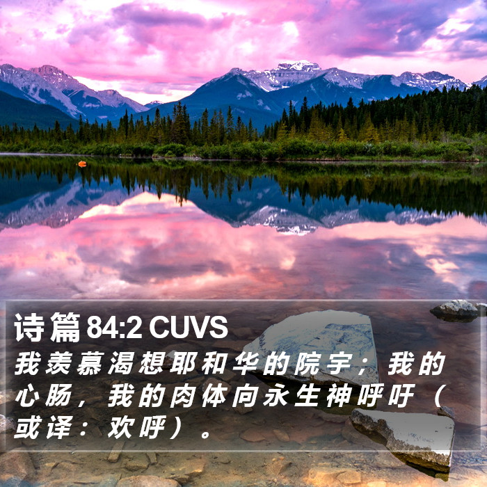 诗 篇 84:2 CUVS Bible Study