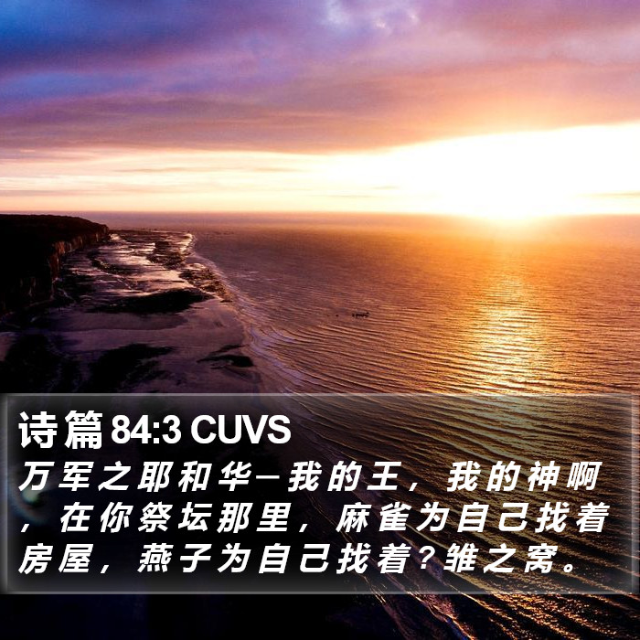 诗 篇 84:3 CUVS Bible Study