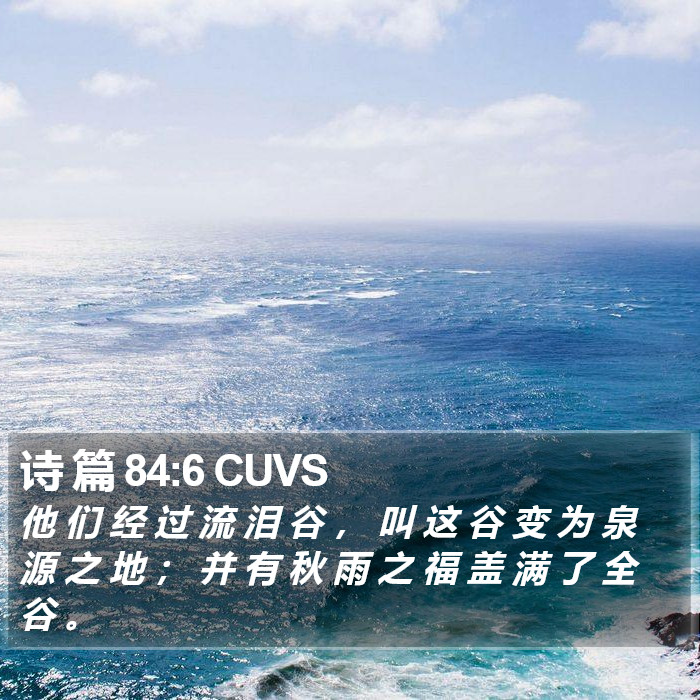 诗 篇 84:6 CUVS Bible Study