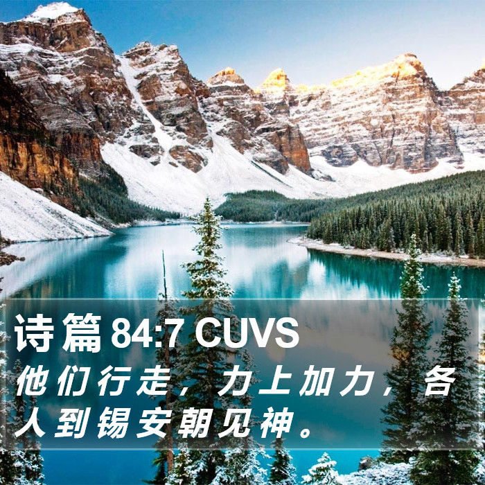 诗 篇 84:7 CUVS Bible Study