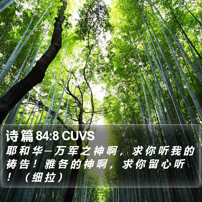 诗 篇 84:8 CUVS Bible Study