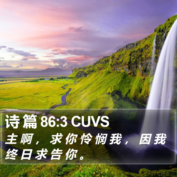 诗 篇 86:3 CUVS Bible Study