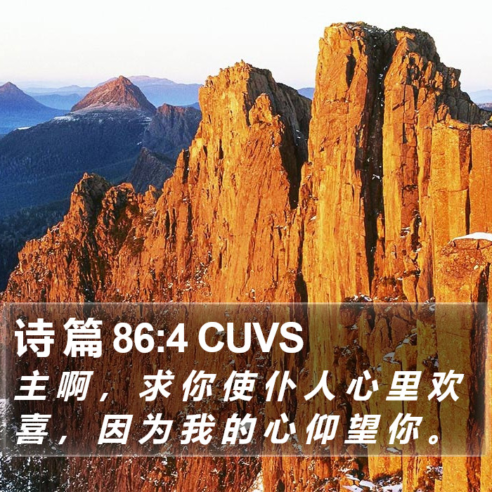 诗 篇 86:4 CUVS Bible Study