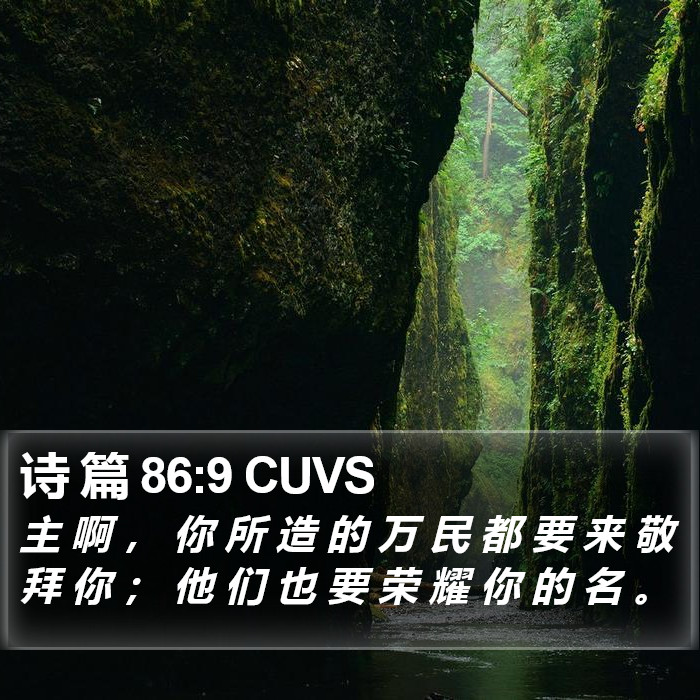 诗 篇 86:9 CUVS Bible Study