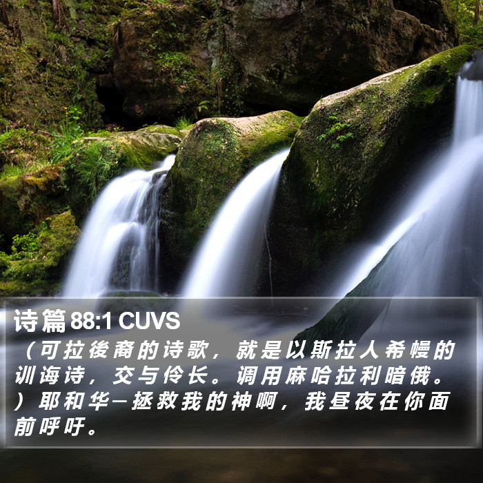 诗 篇 88:1 CUVS Bible Study