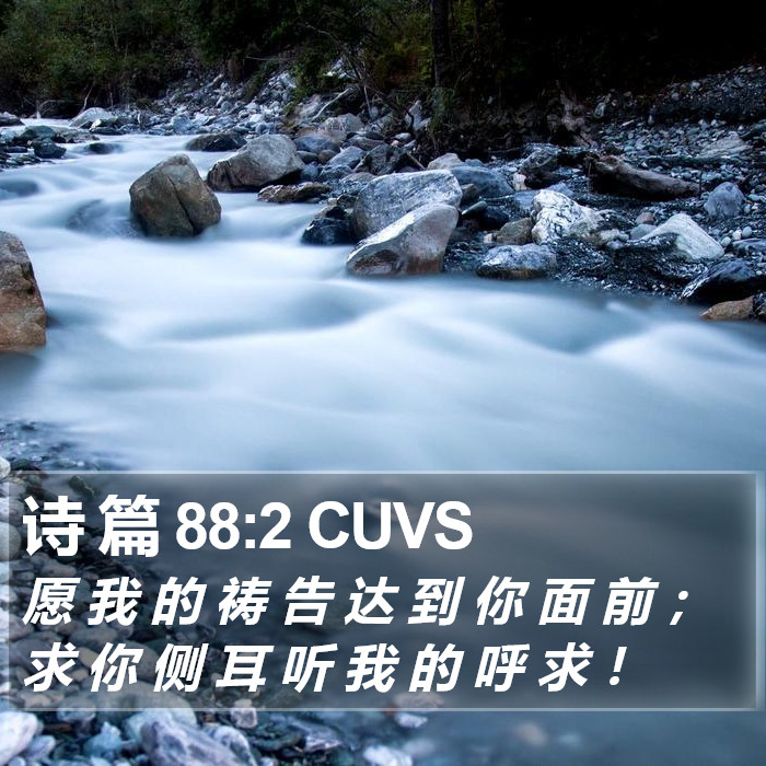诗 篇 88:2 CUVS Bible Study